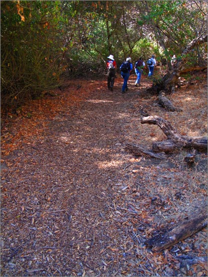 sm 3346.jpg - Hulet Hornbeck runs along a shaded ravine for a half mile, but is very steep in places.